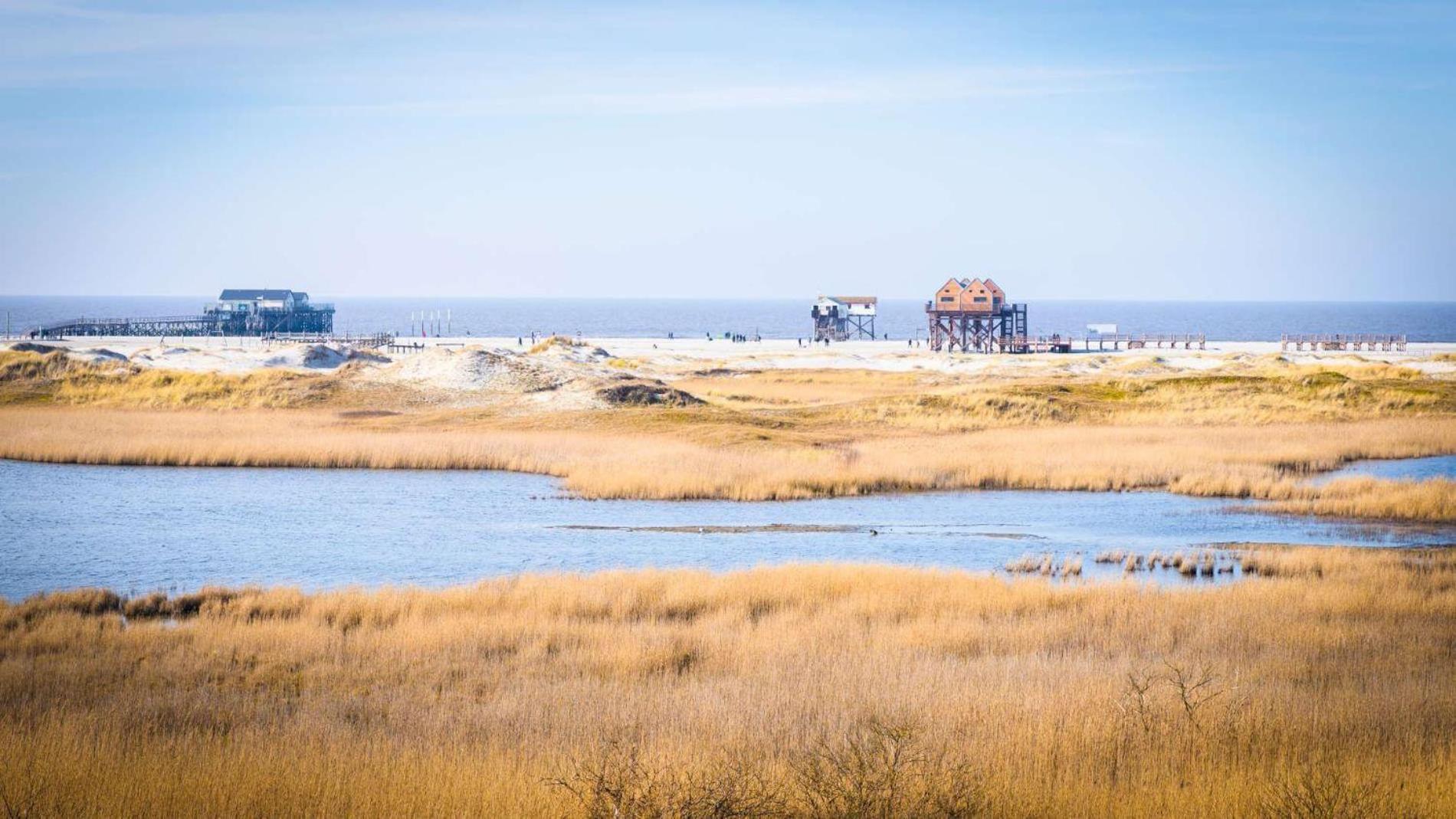FeWo Nordsee Whg. 11 Sankt Peter-Ording Exterior foto